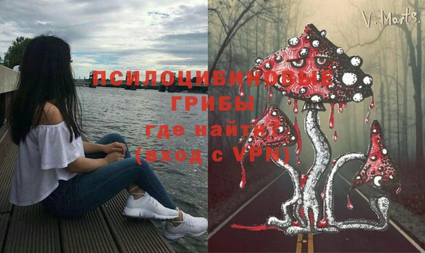 таблы Россошь