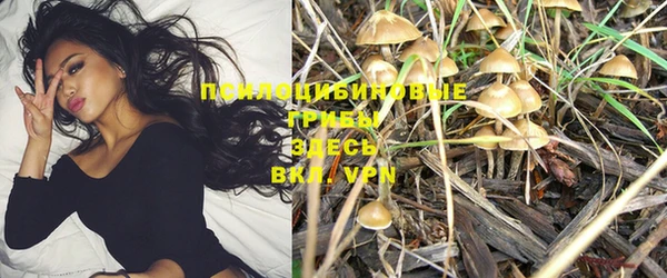 экстази Ростов
