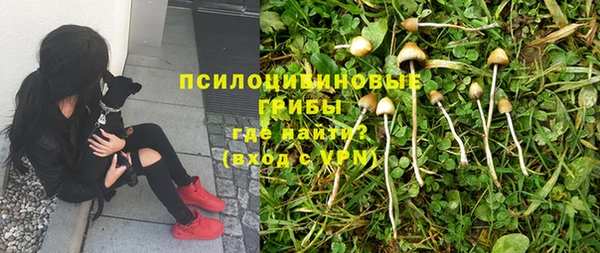 таблы Россошь